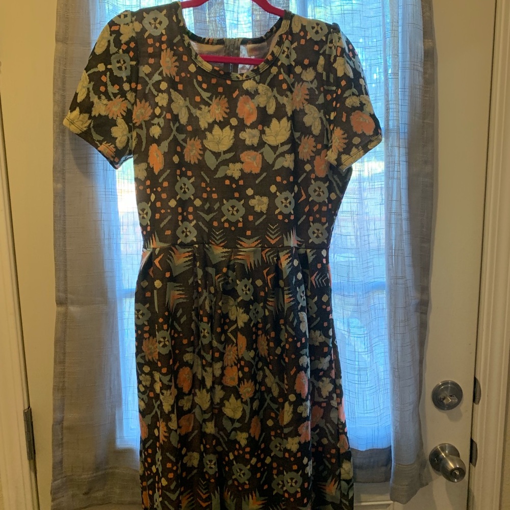 LulaRoe dress